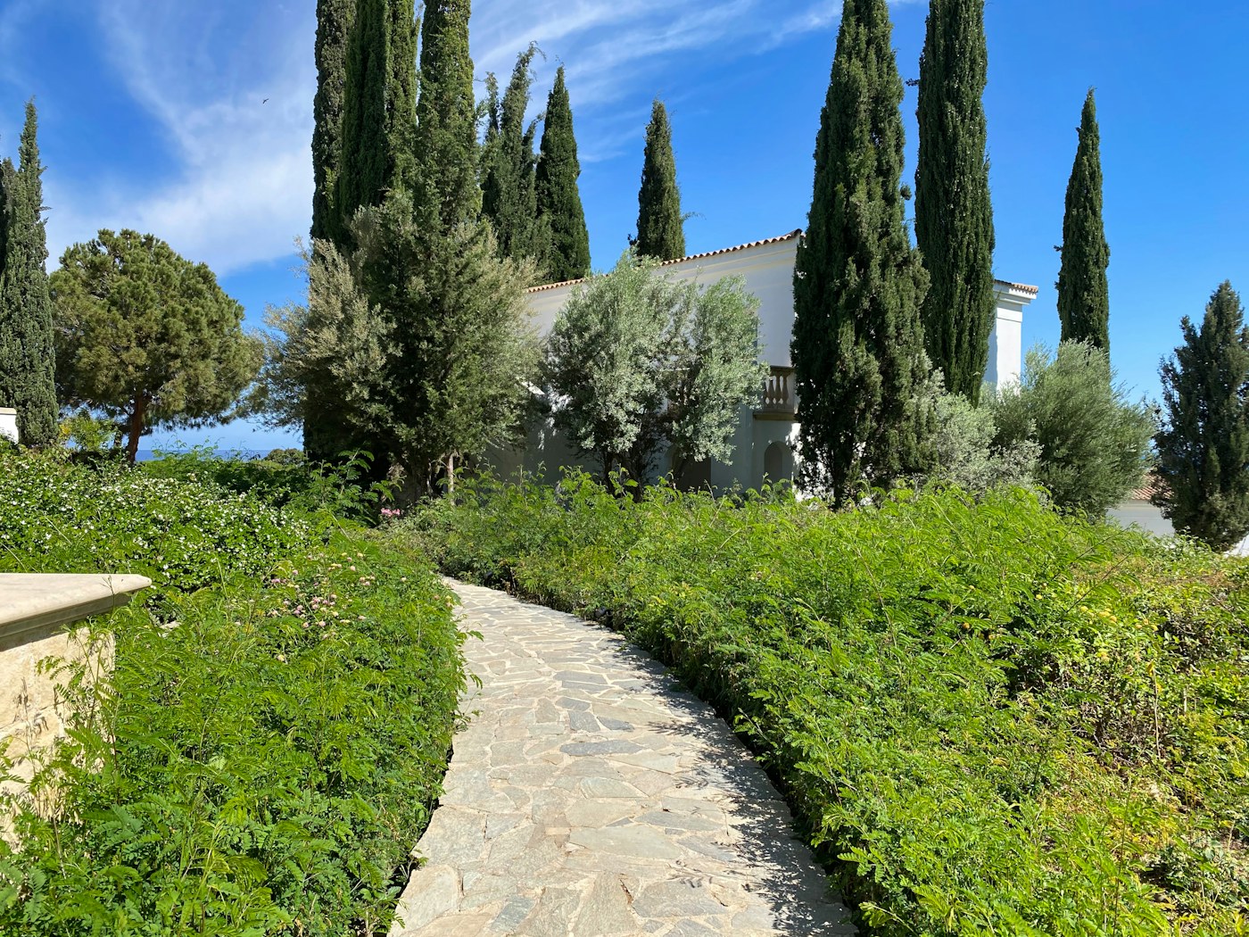 Kuzey Kıbrıs'ta lüks resort bahçe peyzajı