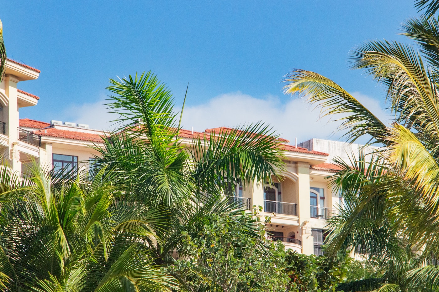 Kuzey Kıbrıs'ta palmiyeli villa dış mekanı